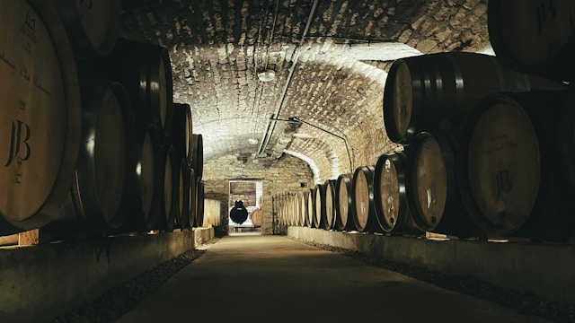goût de souris vins nature